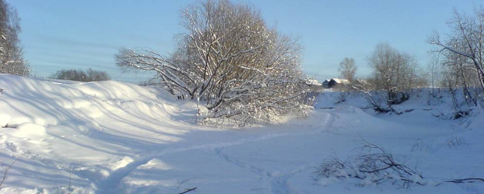 
            Фотография Комарицы