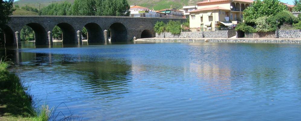 
            Фотография Пинофранкеадо