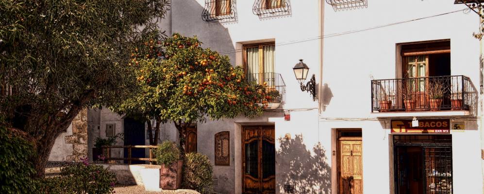 
            Фотография Альтеы