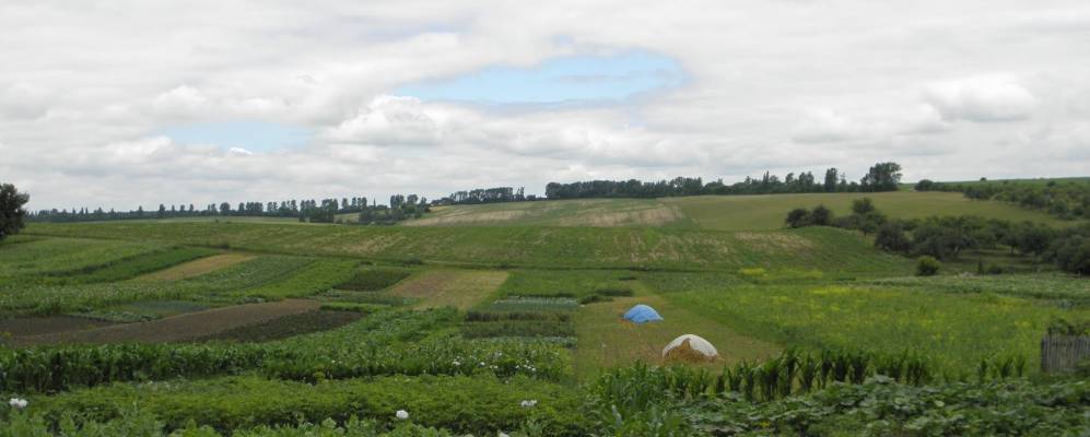 
            Фотография Лобачовки