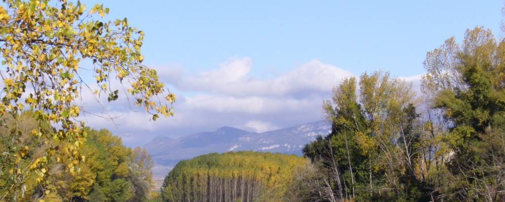 Фотография Сенисеро