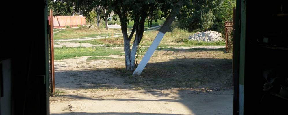 Фотография Чигрины