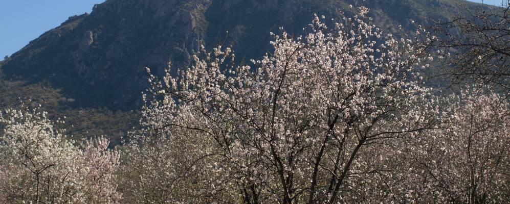 
            Фотография Куевас де Сан Маркосы