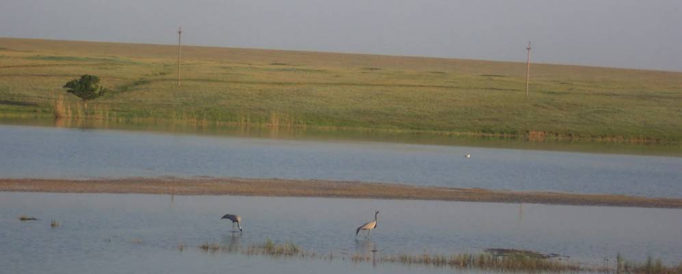 
            Фотография Теегин Герла