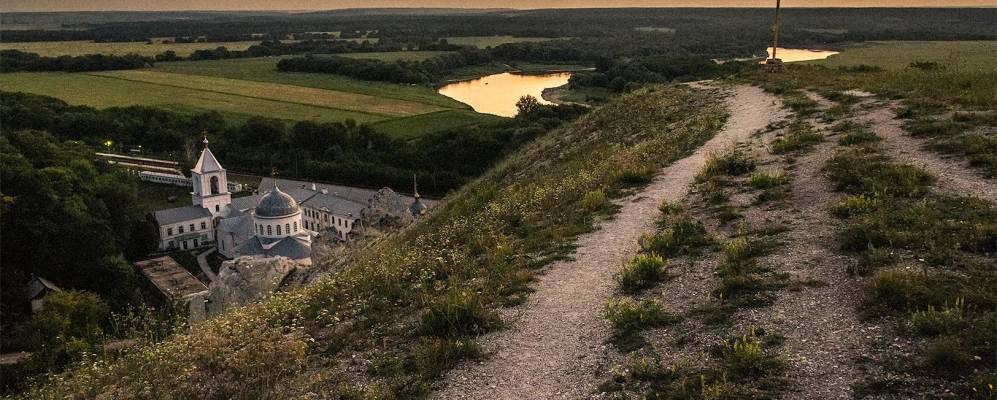 
            Фотография Сосны