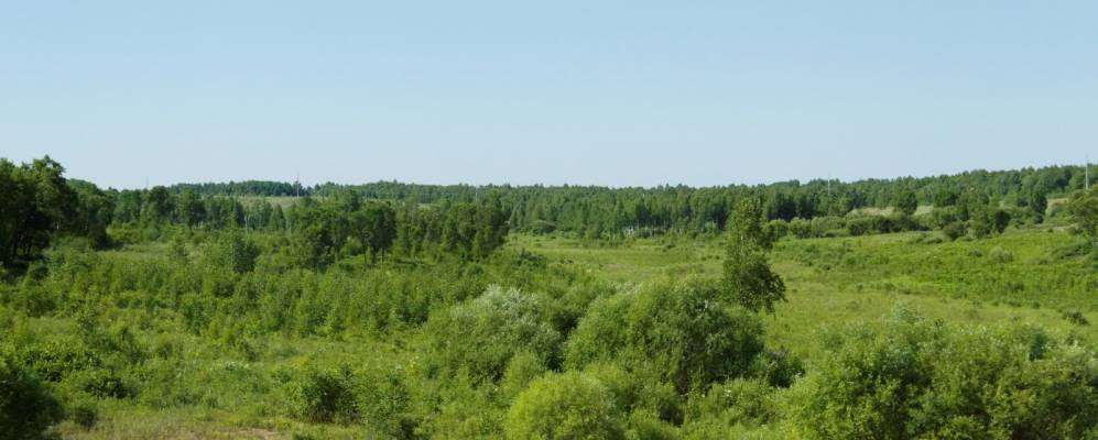 
            Фотография Родионовки