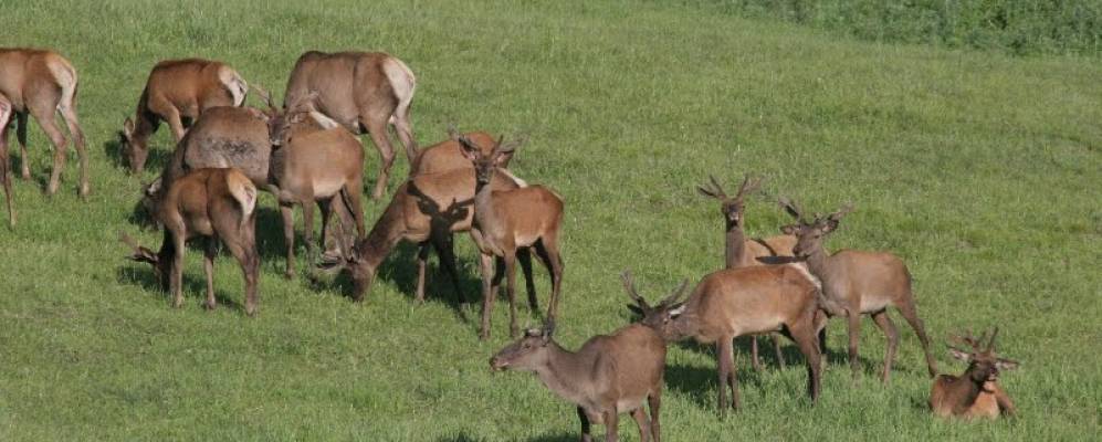 
            Фотография Кастахты