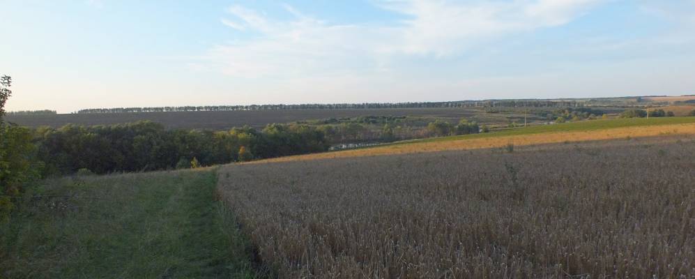 
            Фотография Сновской