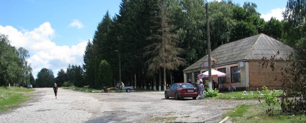 Фотография Басовки