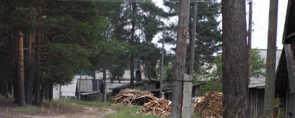 
            Фотография Тотомицы