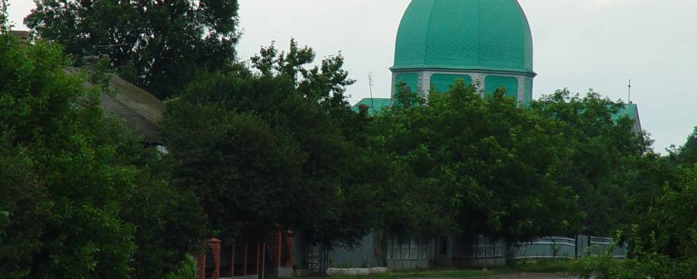 
            Фотография Мушкатовки