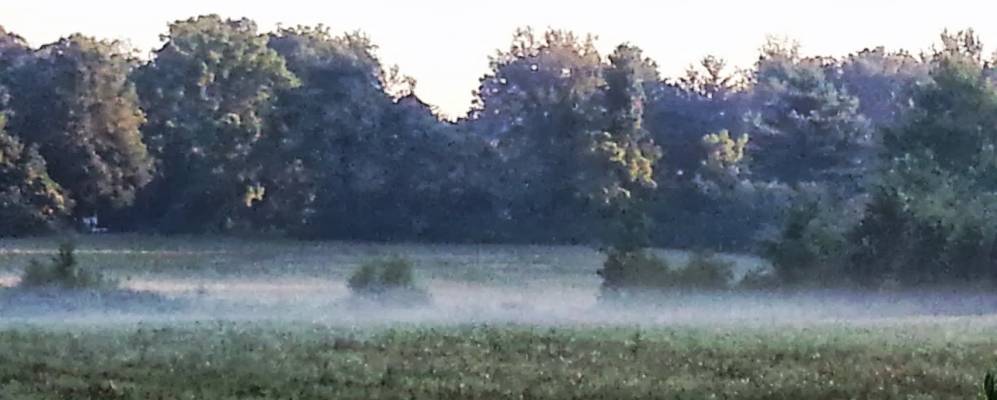 
            Фотография Алгуда