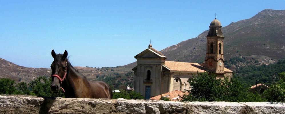 
            Фотография Феличето