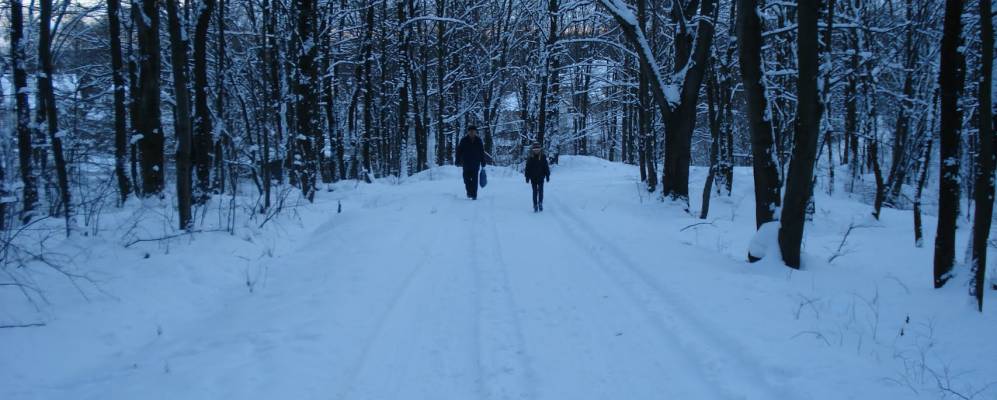 
            Фотография Павловки