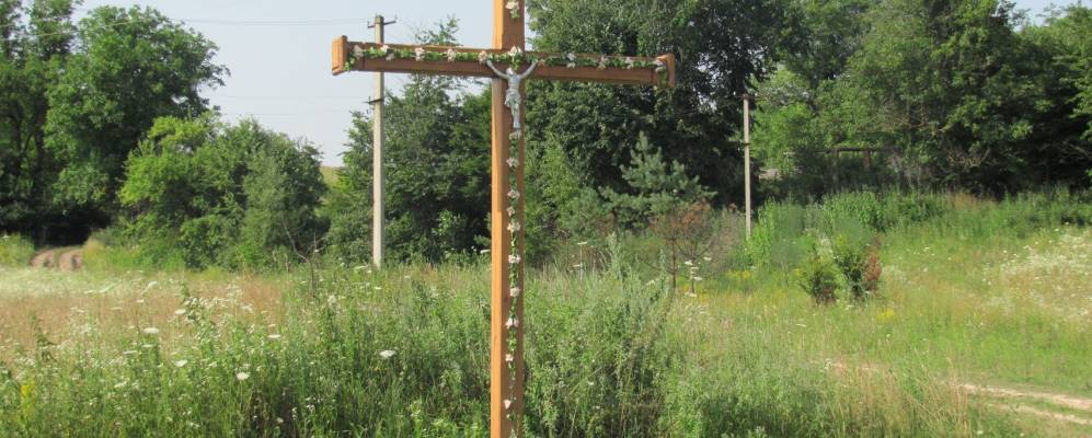 
            Фотография Садового