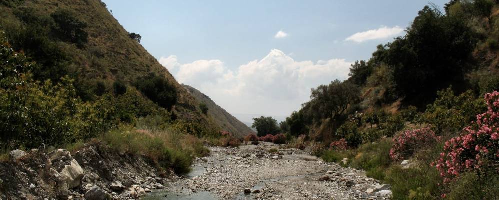 
            Фотография Канильяс де Асейтуно