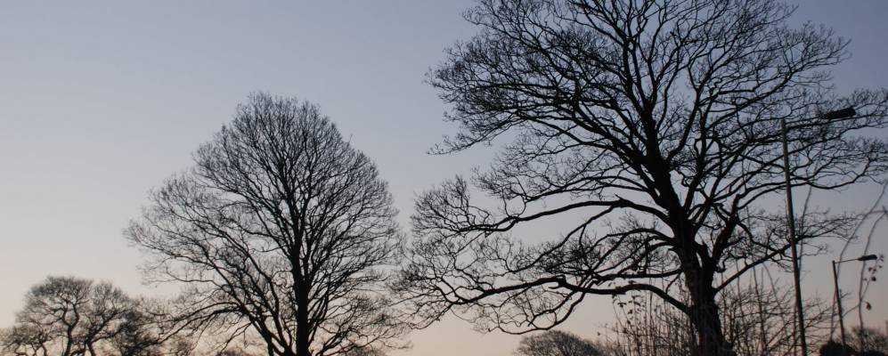 
            Фотография Хенсола