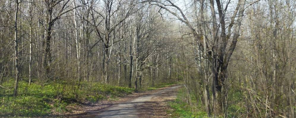 
            Фотография Куликовки