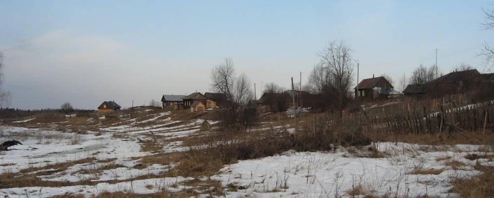 
            Фотография Пожевки