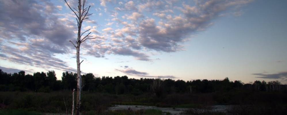 
            Фотография Им. Будённого