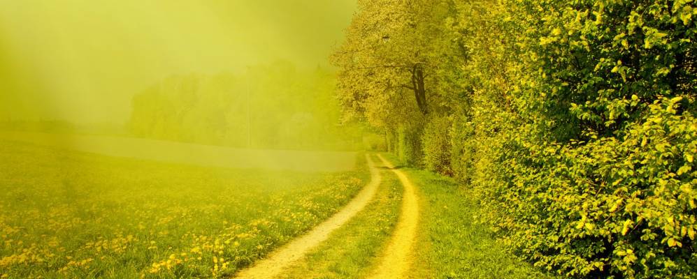 
            Фотография Фильмергена