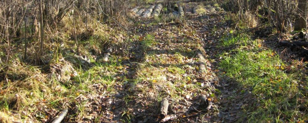 Фотография Великуши