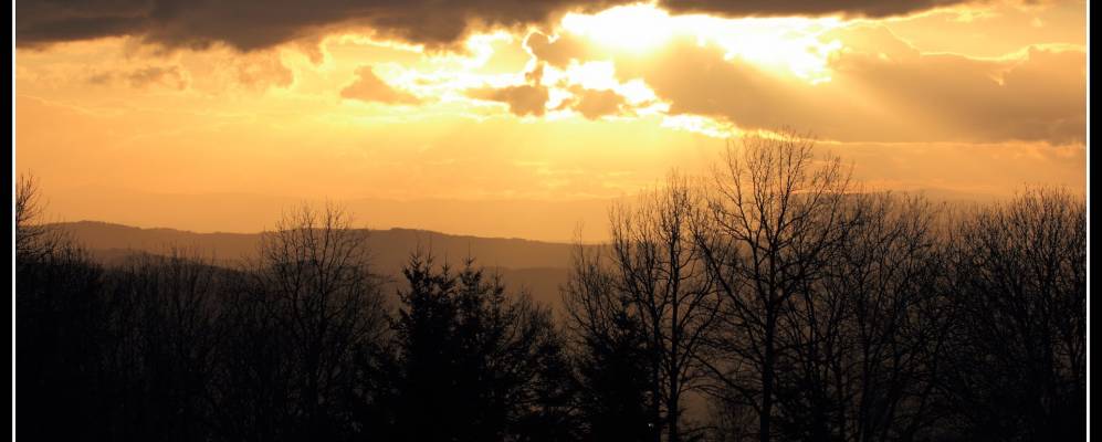 
            Фотография Роно