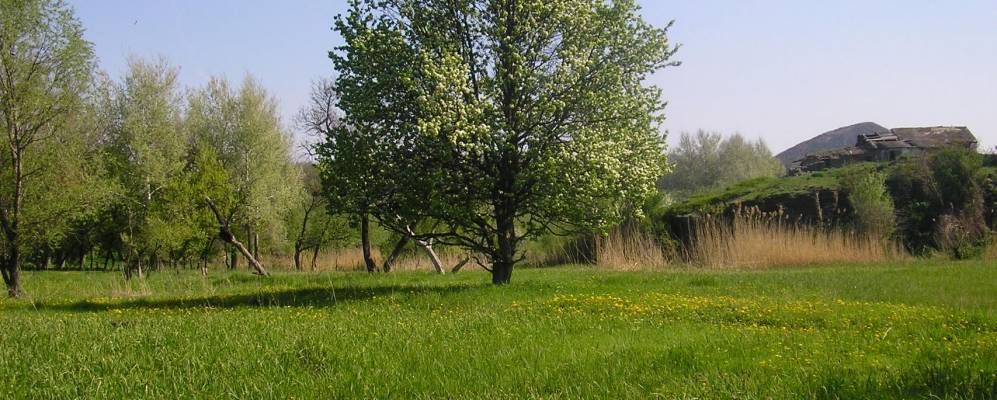 
            Фотография Бугултая