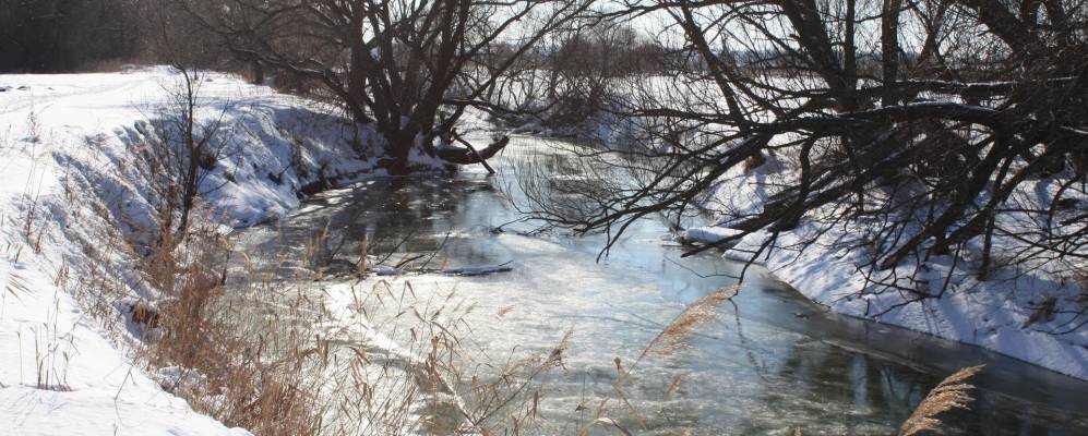 
            Фотография Гуменок