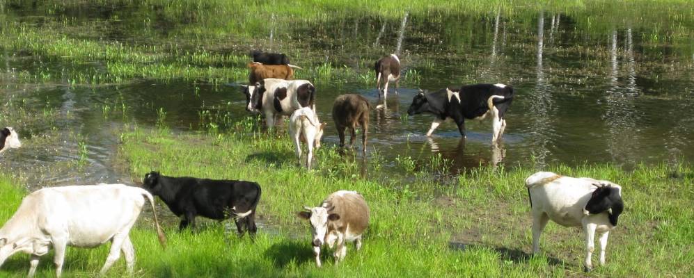 Фотография Культуры