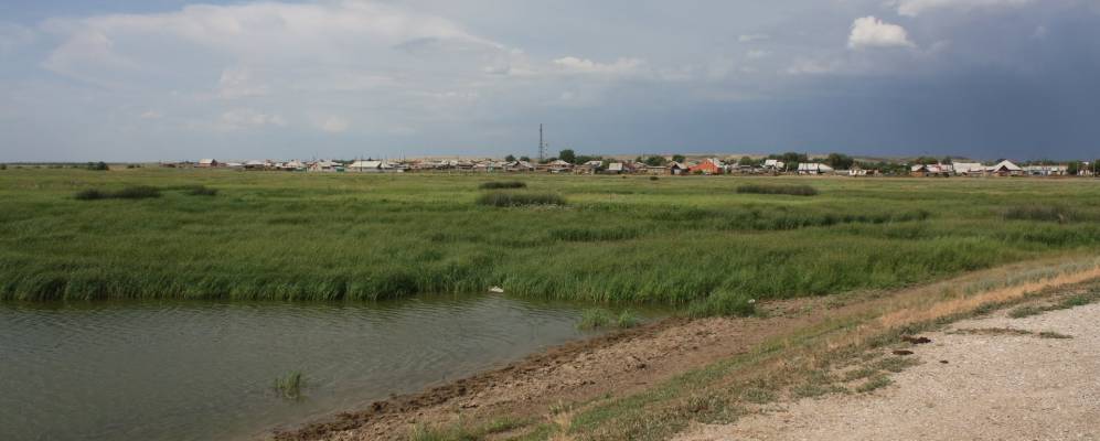 
            Фотография Кужунтая