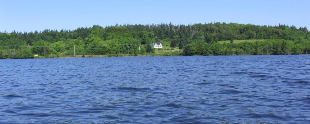 
            Фотография Сентревилла