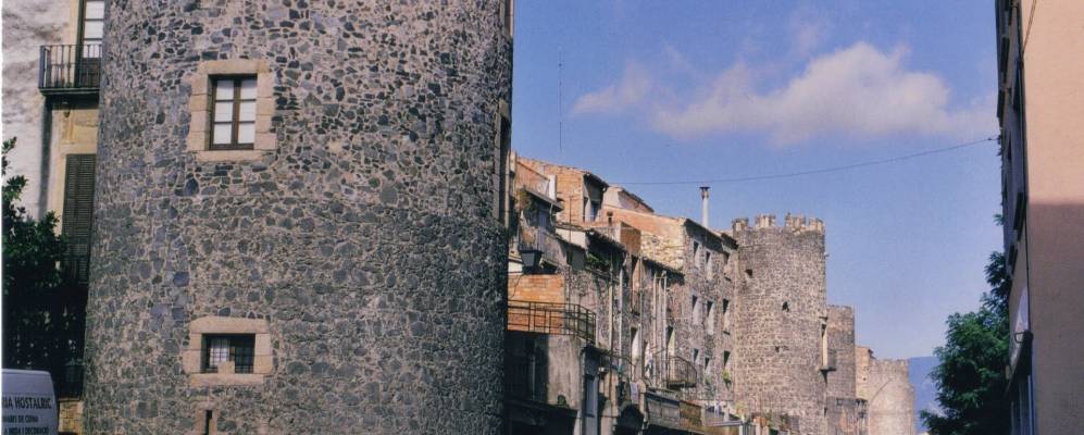 
            Фотография Остальрика