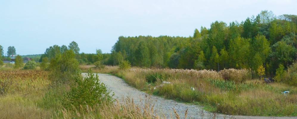 
            Фотография Красногвардейского