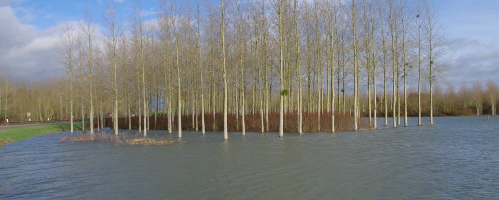 
            Фотография Фриникура