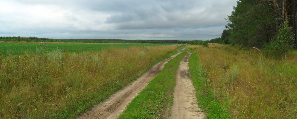 
            Фотография Цаплино