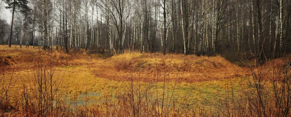 
            Фотография Пятково