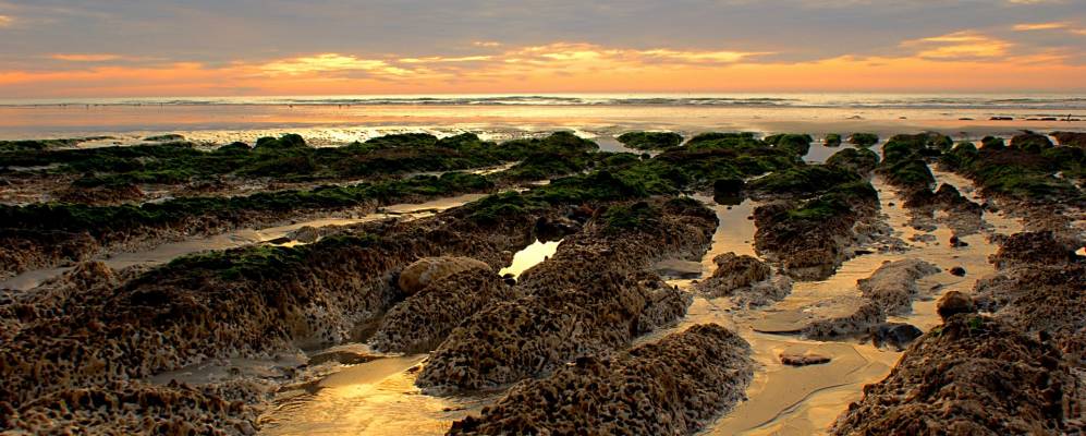 
            Фотография Пурвиль-Сюр-Мер