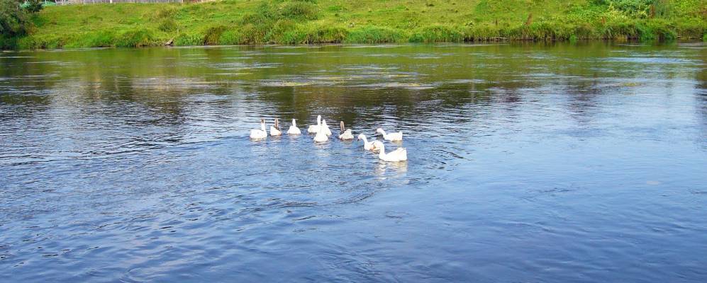 
            Фотография Хутора