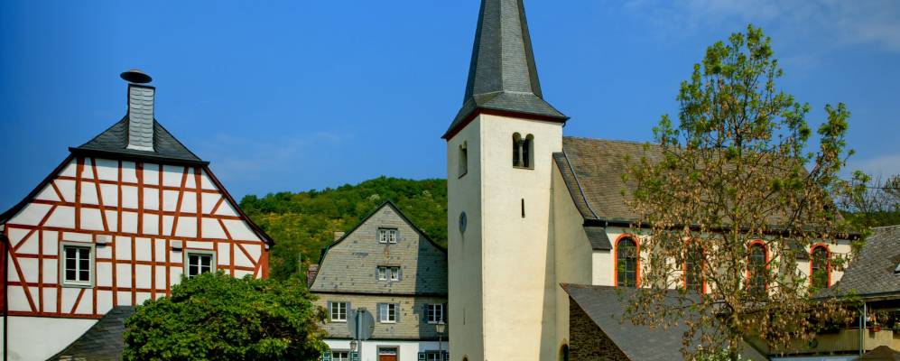 
            Фотография Люц