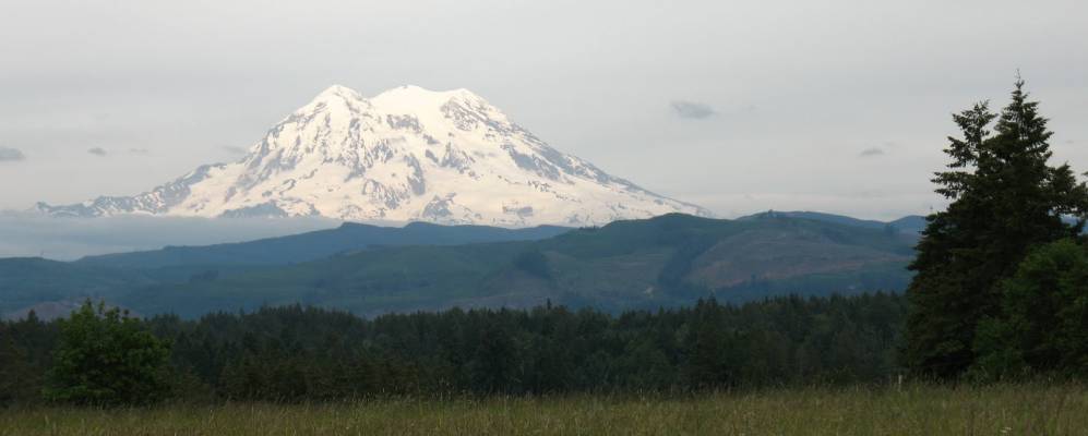 Фотография Ашфорд