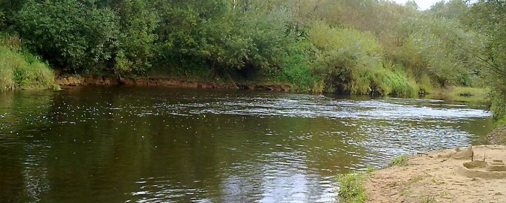 Фотография Новинки