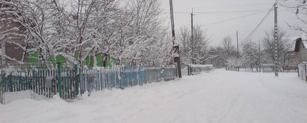 
            Фотография Солукова