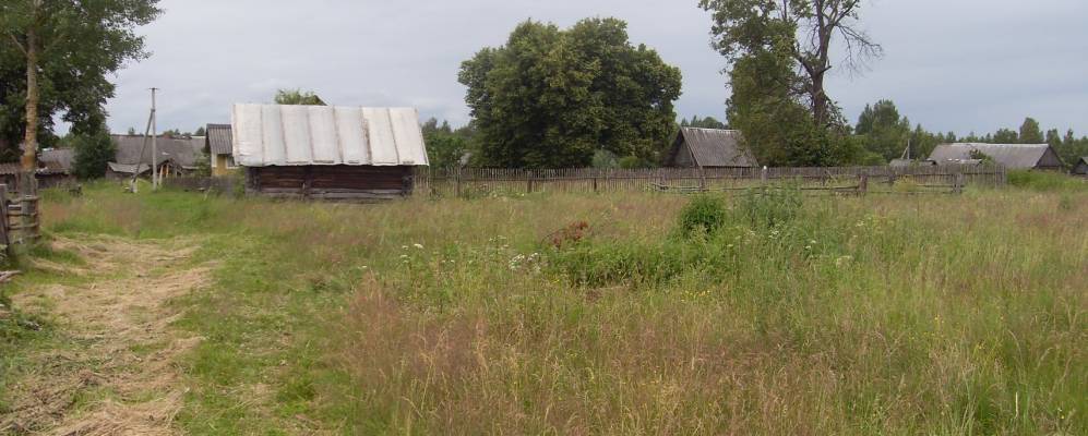 
            Фотография Старишного Бора