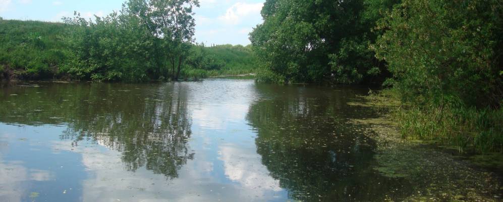 
            Фотография Прибытков