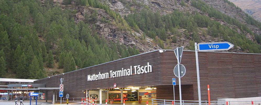 
            Фотография Тэша