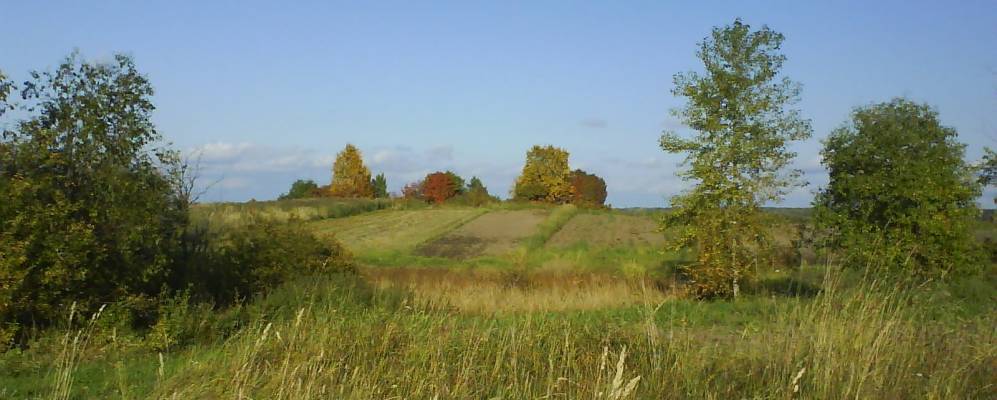 Фотография деревни Шепицы
