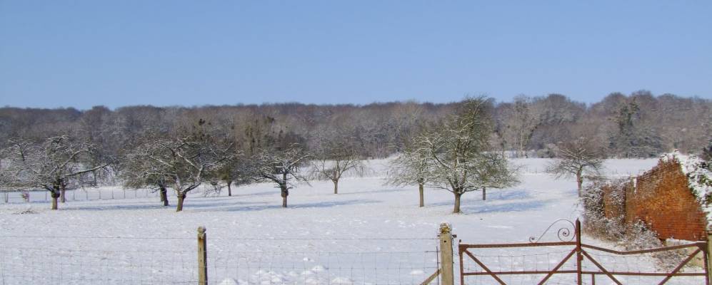 
            Фотография Ланьи