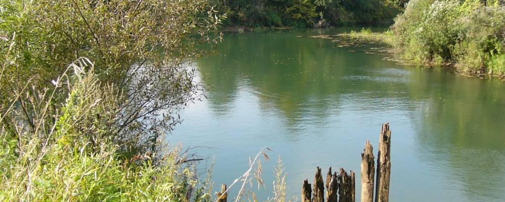 Фотография Строганово