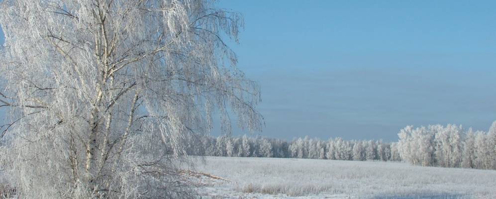 
            Фотография Жиливо